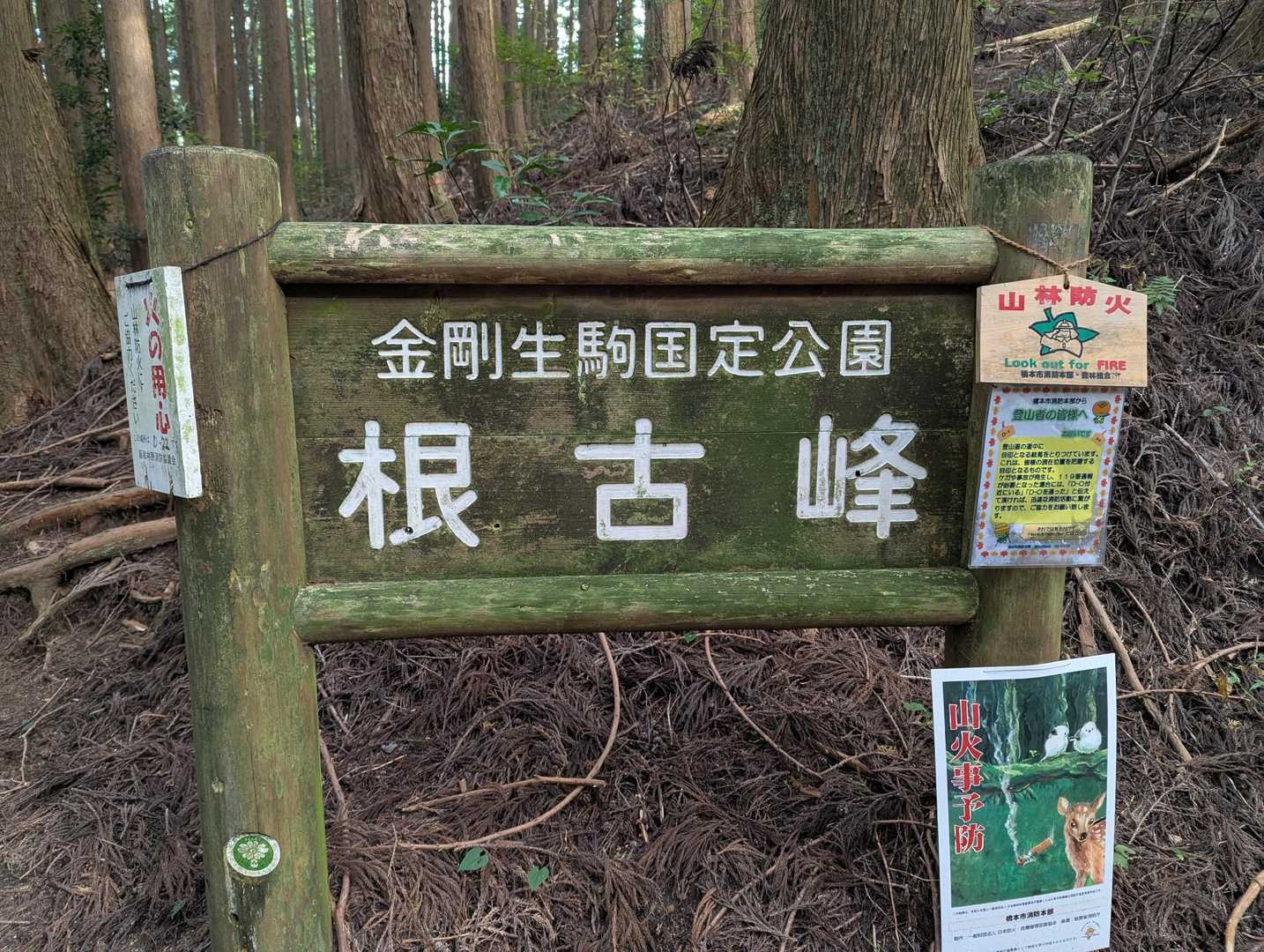 疾風のように現れて疾風のように去っていくトレイルランナーさん達に追い越されながらここはトレランの聖地やったなぁと実感
あっという間に後ろ姿も見えなくなります
あの人たちホントに人間？😳