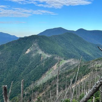 雁坂嶺から東破風山(左)、(西)破風山。大弛峠から見た金峰の見え方に似てる。