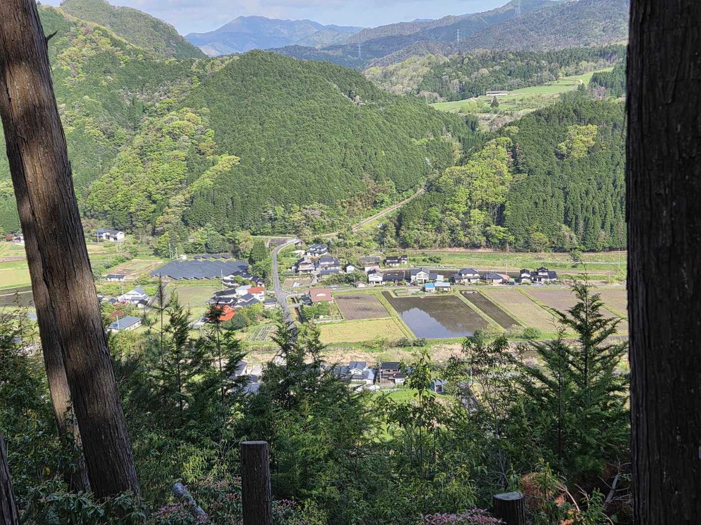 こんな、感じ👀