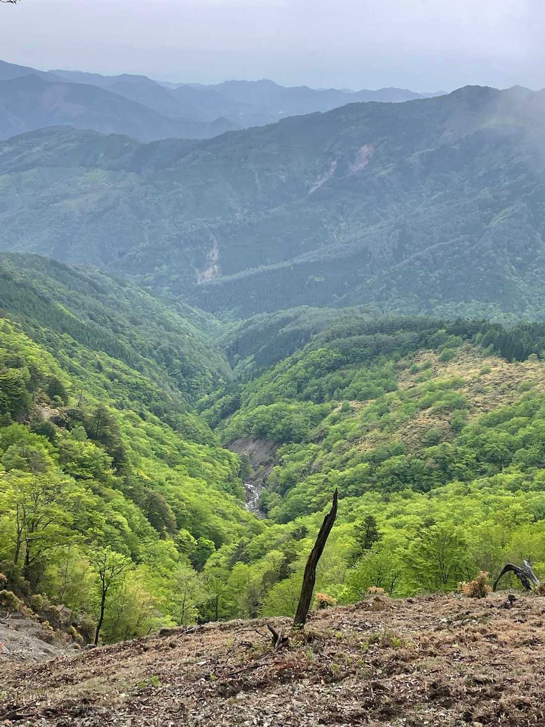 絶景