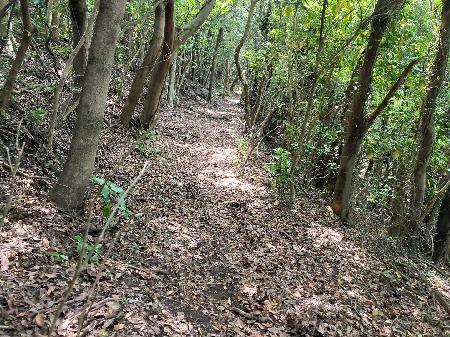 どんどん進みます。🚶‍♀️