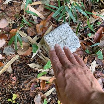 山頂に着きました😊