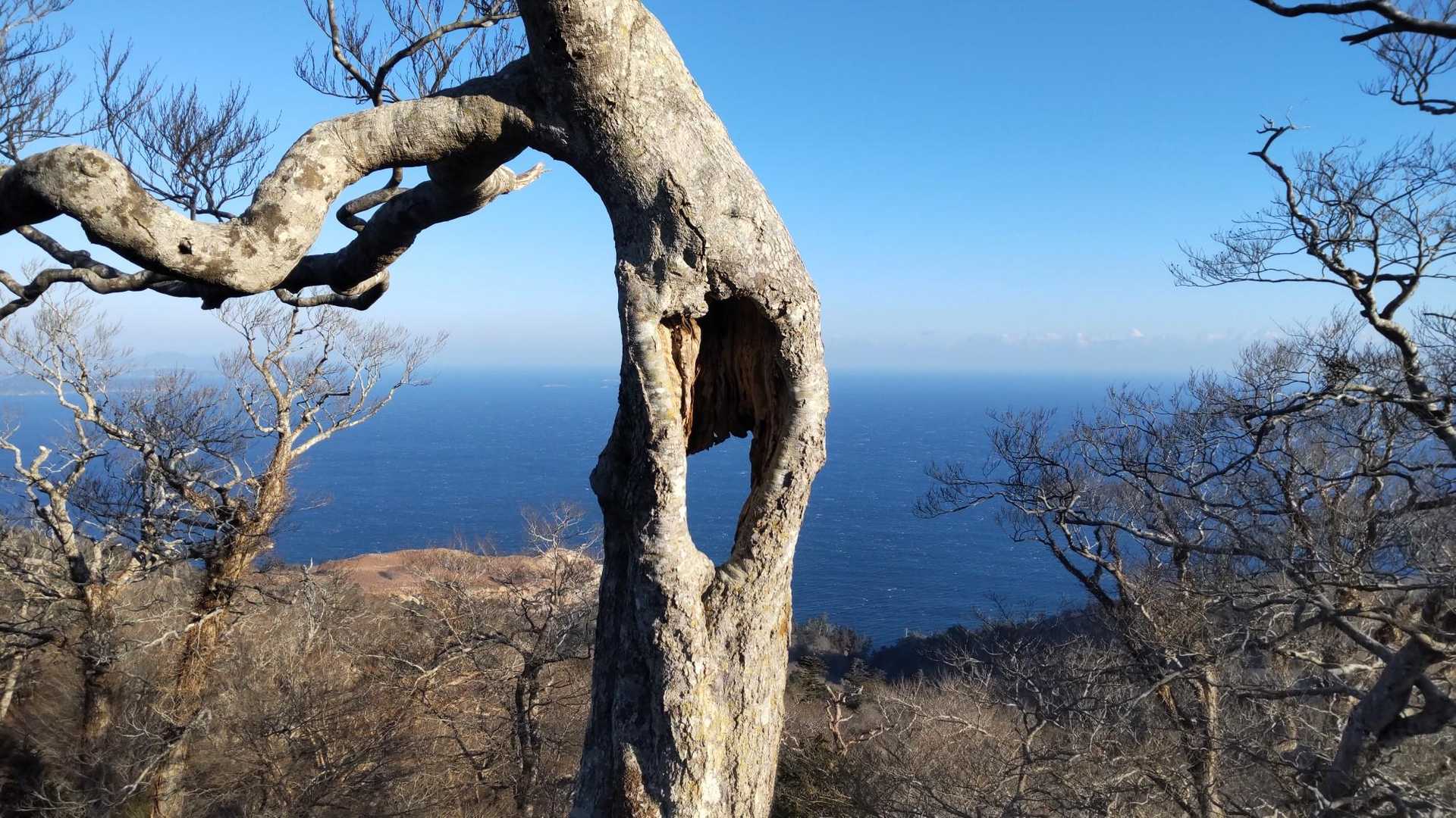 去年も覗いた穴は今年も覗きます👀
