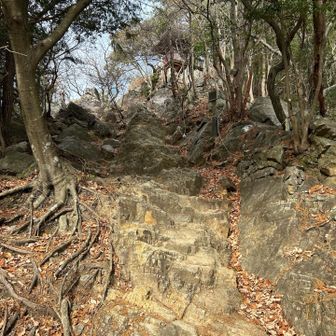 好きな景色☺️