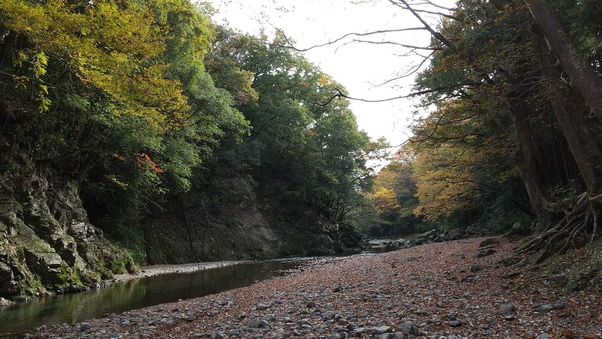 河原で休憩。気持ちいいなぁ❤️