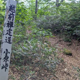 祠があり
ここから見た