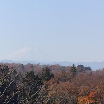 心の目でみる富士山…ではなくて
本当に富士山が見えました😍
うっすら富士山ですが、目でみるサイズとほぼ同じで割と大きく見えました🗻👀✨️