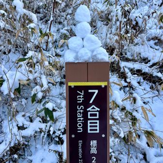 7合目の雪団子🍡