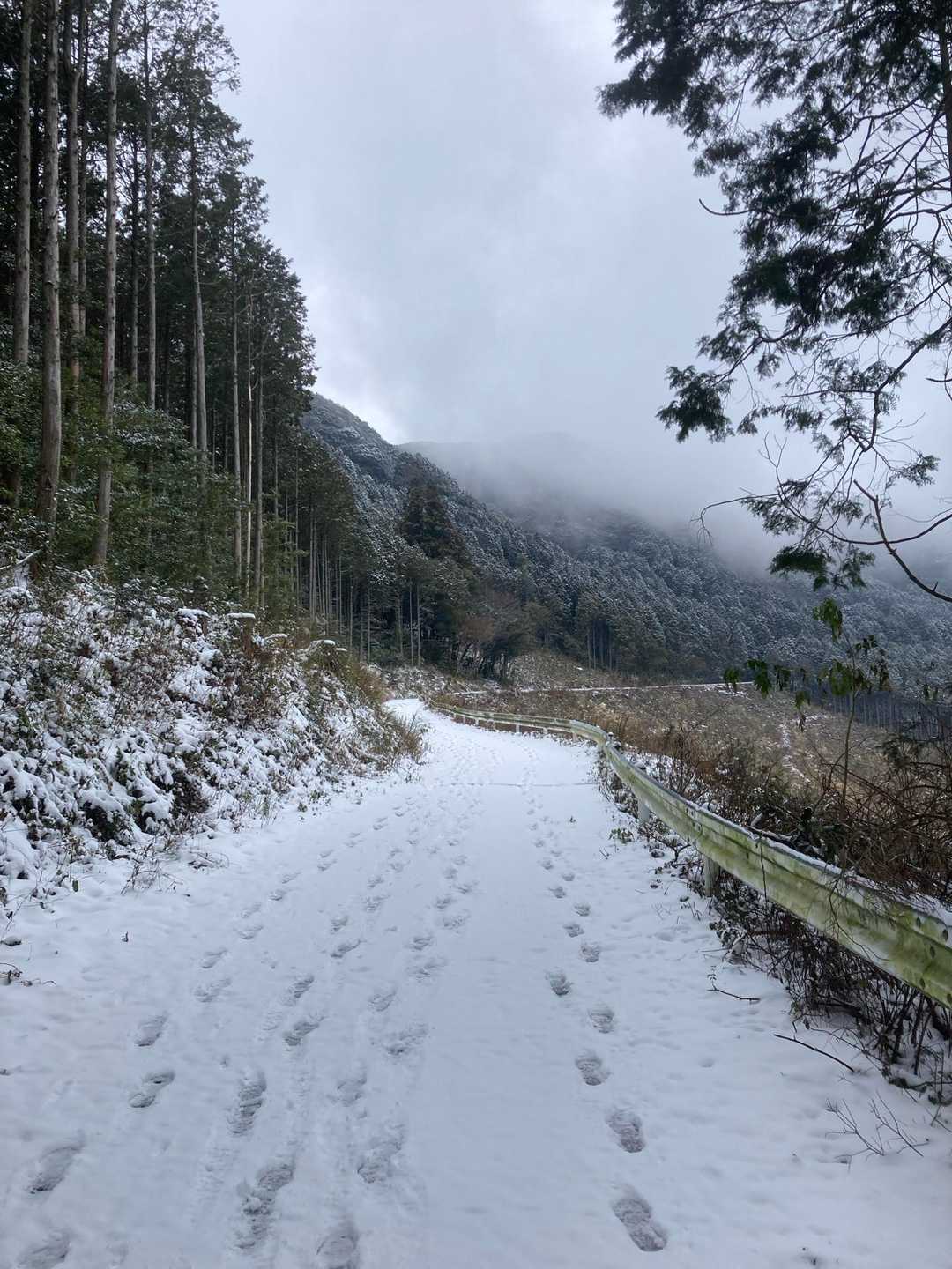 先客あったか⤵︎