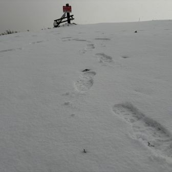積雪量は1cmほど