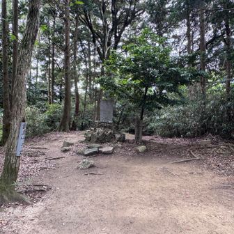 山頂の脇から高地山へ続く道へ入ります