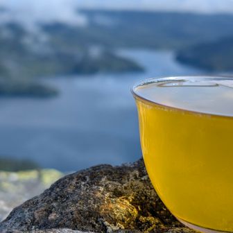 本日は、お茶のみ🍵