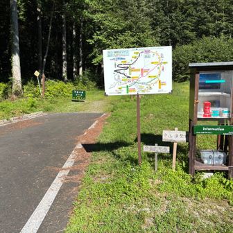 傘のおみくじとクロモジストラップの無人販売
お金は貯金箱に入れる