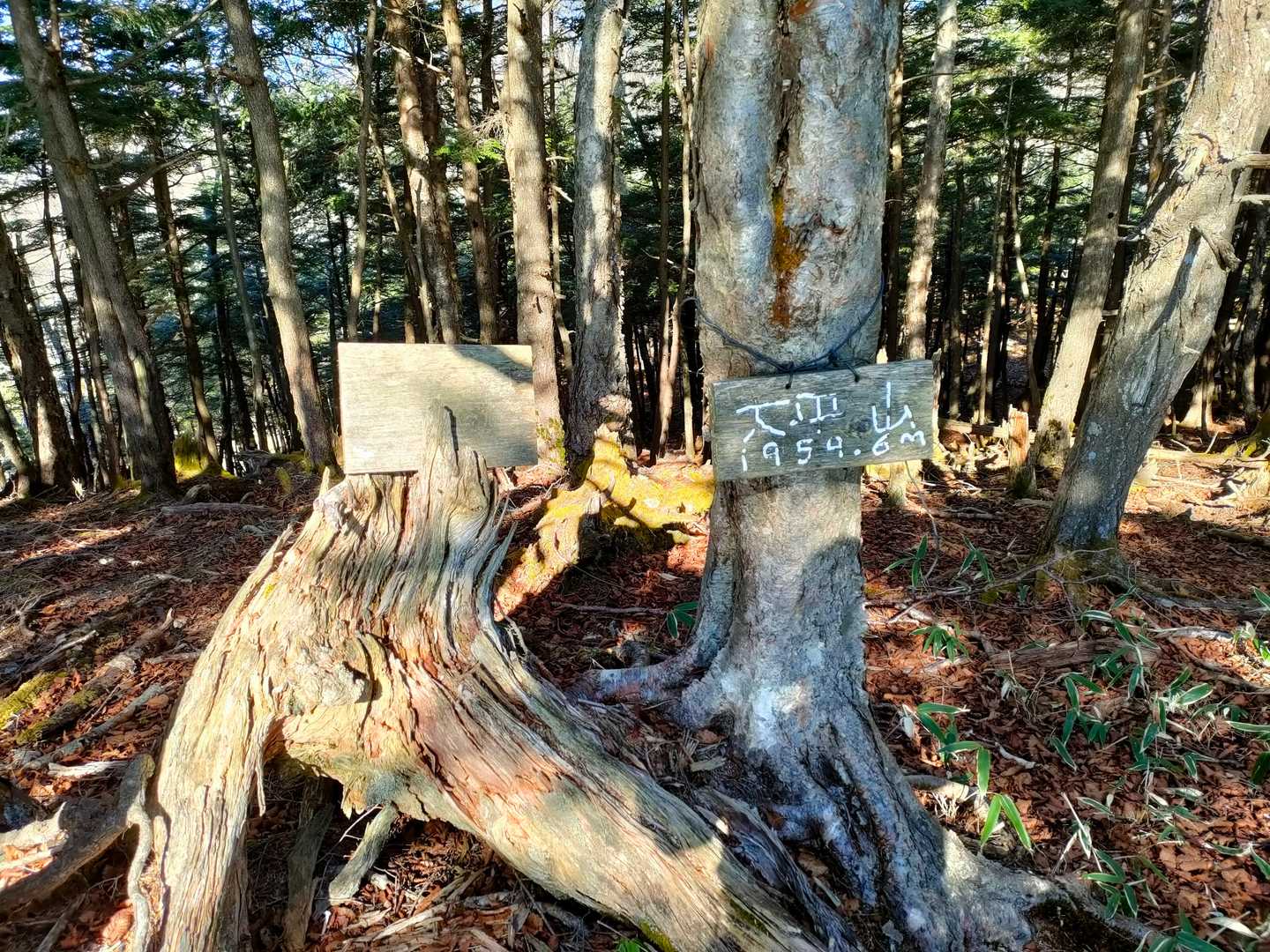 大平山頂上。
眺望ゼロでは無いが、あまりよろしくない😗