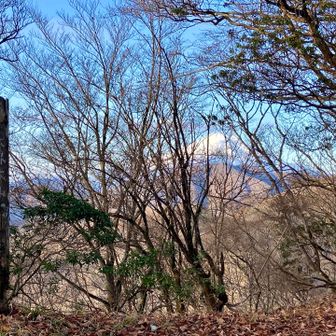 大界木山山頂、富士山🗻も見える