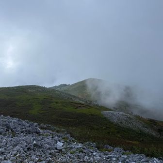 最高点方面
