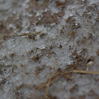 中峠曲がったら時折残雪？氷に出会いました。