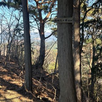 後仙人ヶ岳山頂