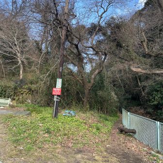 川沿いに進みます