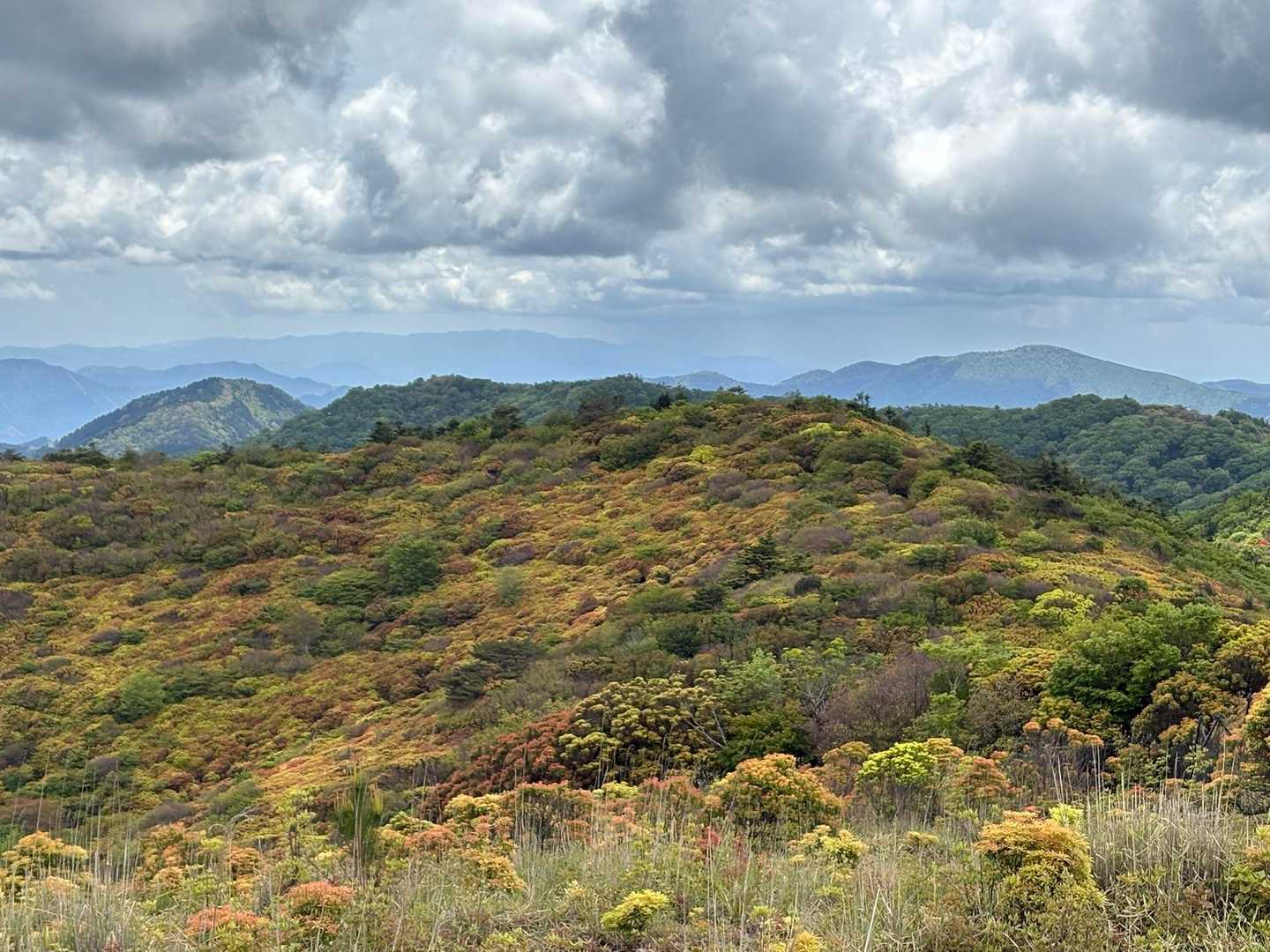 🤩
のんびり休んで下山開始