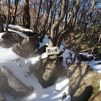 めちゃくちゃ時間かかった
ここから釈迦ヶ岳まで、まだまだ