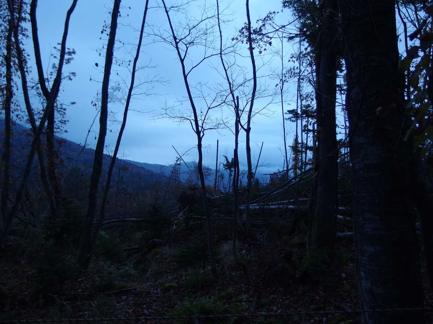 明けてきたー^^