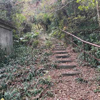 城跡への階段