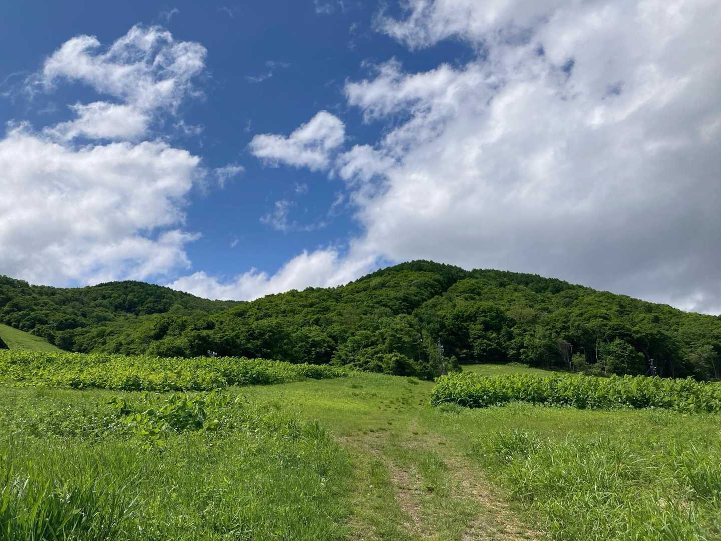 　　　　あーのんびりした〜😌
　　　　あ〜いいなぁ…こんなのんびり。。

　　モヤモヤ😶‍🌫️の気持ちが晴れた。
