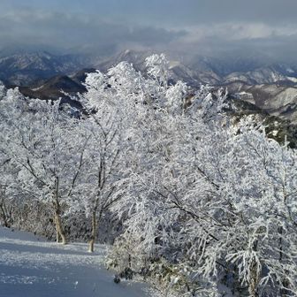 美麗な樹氷と山々