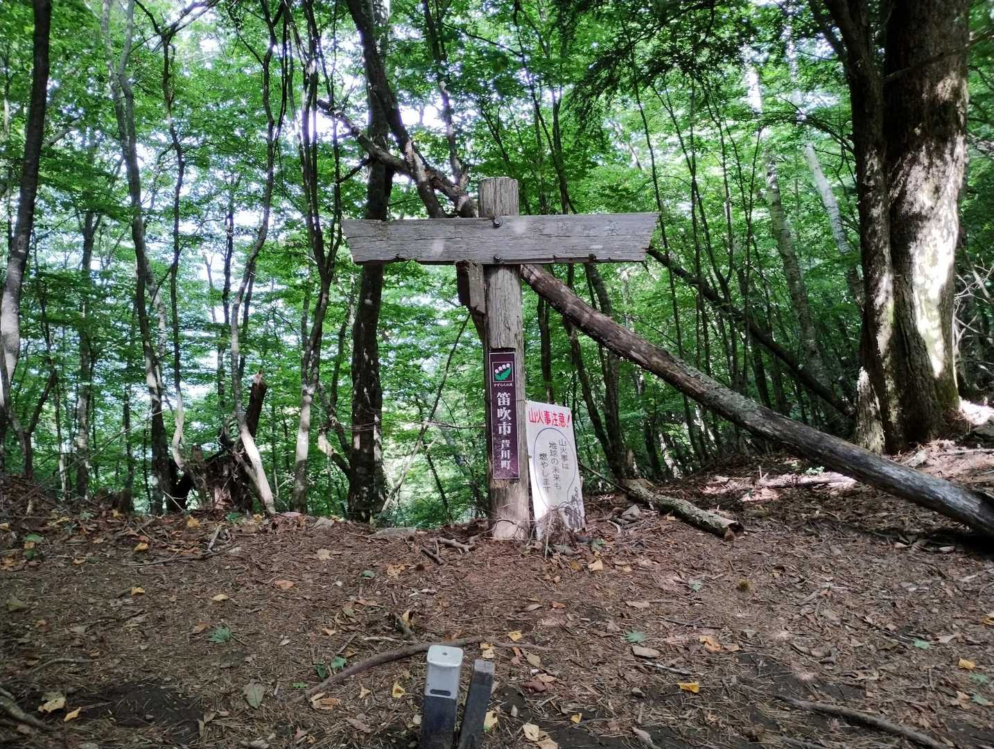下山の分岐に到着
ここで下山をしないで、本日ラストのピーク御たけに向かいました。