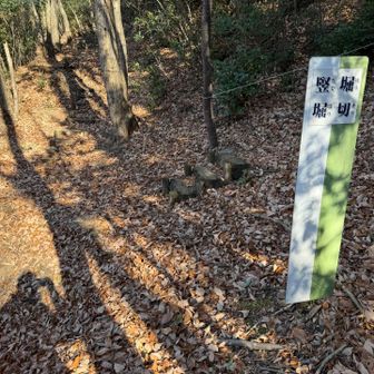 堀が滑り台のように崖下まで続いてました