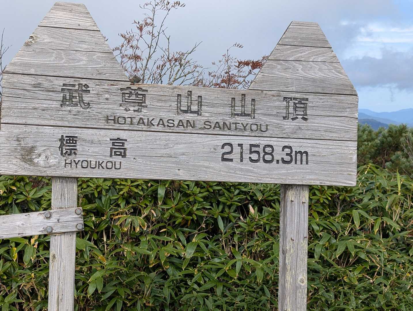 着きました！