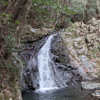 滝巡りおすすめです😊