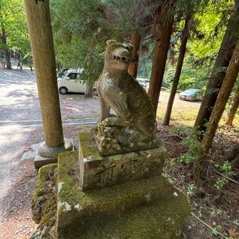 苔むした狛犬さま。