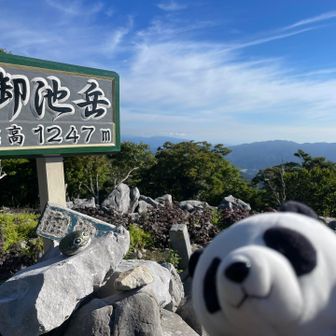 山頂でぬい活〜🐼