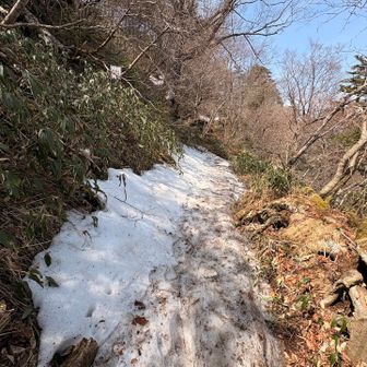 とにかく滑ります