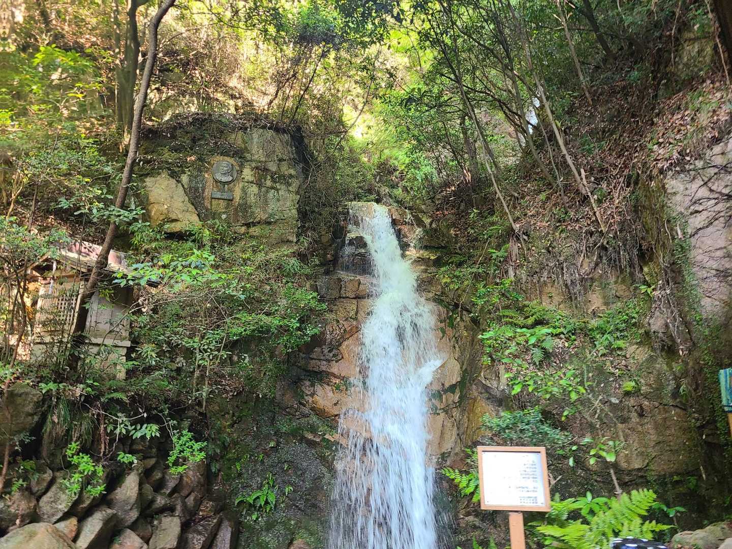 一昨日の大雨で水量たっぷり
足元悪い道もあったけど、ほぼ乾いています