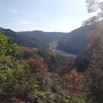 いや、そんなこともない。