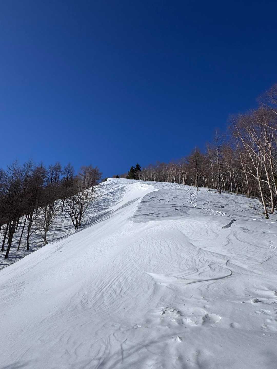 恒例行事の厳冬期恵那山 / カッツ（KAZU改）さんの恵那山・大判山