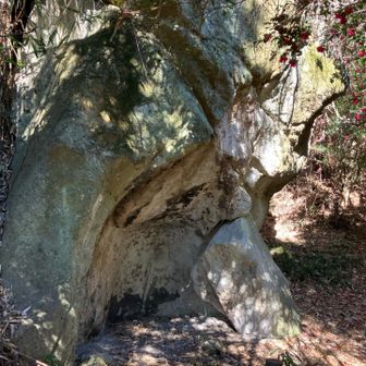 石切場を見学しました🐕
