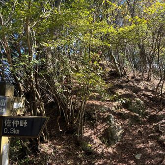 鏡峠方面へ。