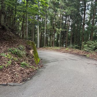 5月にあった熊に遭遇した外国人はこの辺りで？