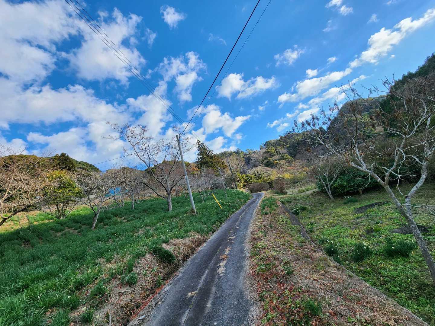 津森山-人骨山 周回コースの写真