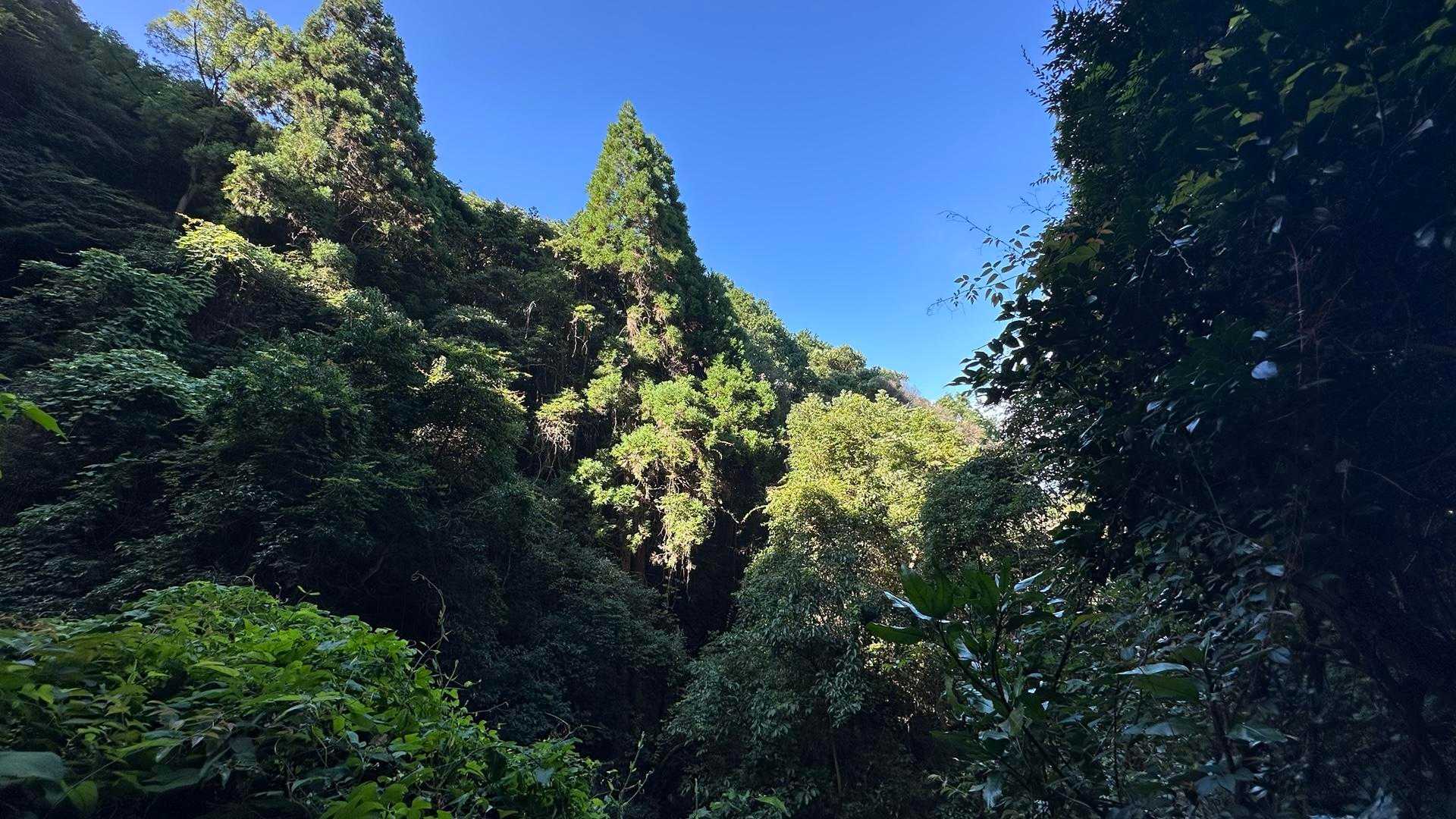 中央登山口-筒ヶ岳-観音岳 往復コースの写真