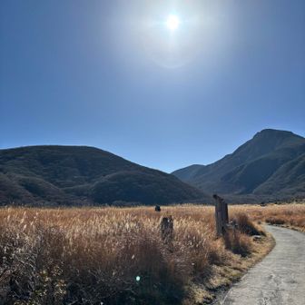 ハンモック争いへ