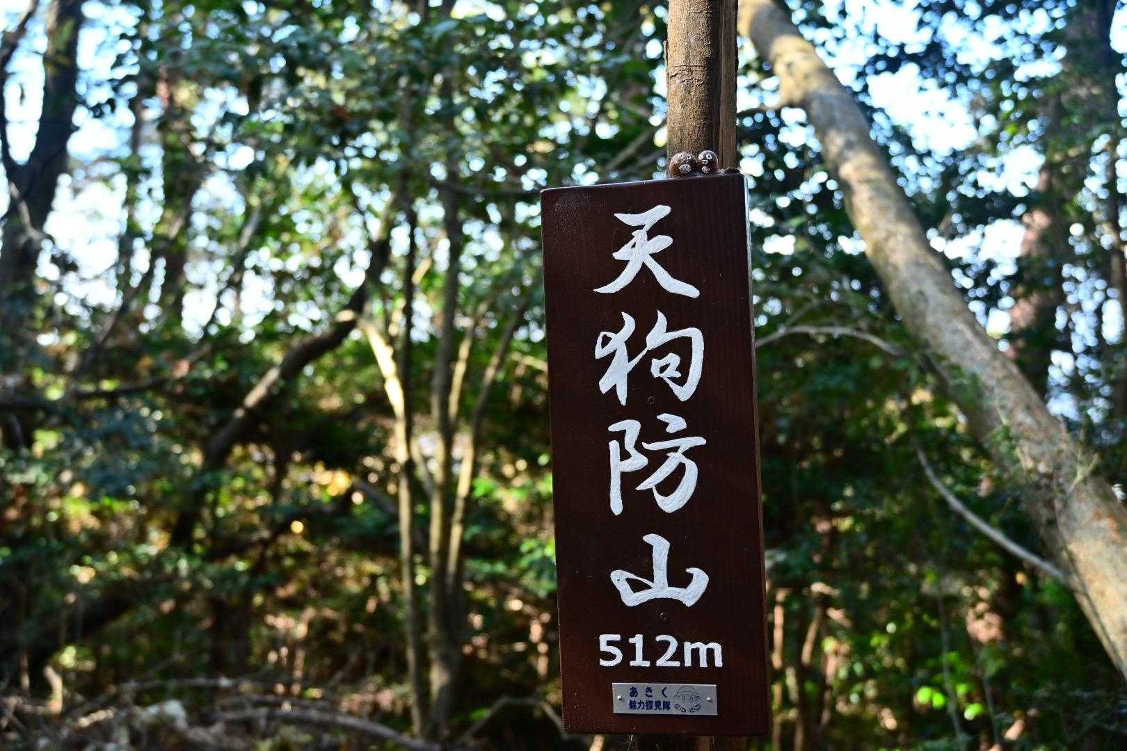 天狗防山　登頂しました🙌
こちらにもどんぐりトトロがいます❤️