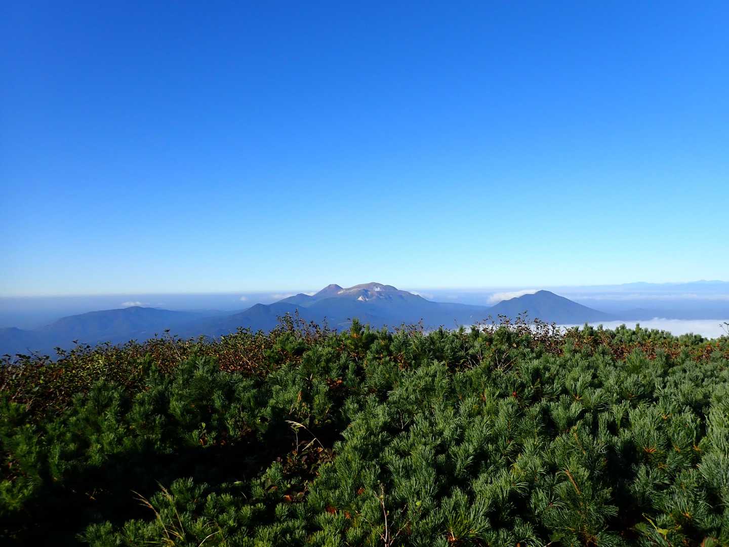 雄阿寒岳 登山コースの写真