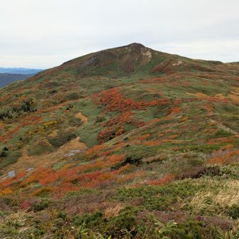 さぁ烏帽子へ