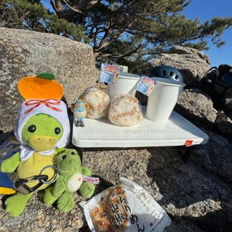 ランチは
ちりめんおにぎりとお味噌　ご馳走になりました
私もちりめんおにぎり持ってきた〜🤭
そうそうピック作ったよ