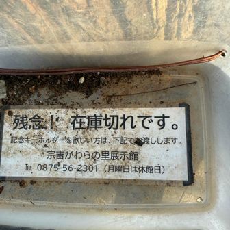 あれ？無い😭　残念😢